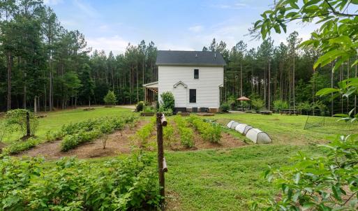Photo #61 of 1997 Rocks Church Rd., Pamplin, VA 11.0 acres