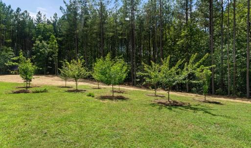 Photo #64 of 1997 Rocks Church Rd., Pamplin, VA 11.0 acres