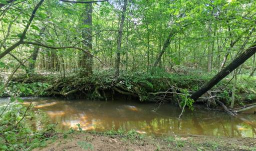 Photo #67 of 1997 Rocks Church Rd., Pamplin, VA 11.0 acres