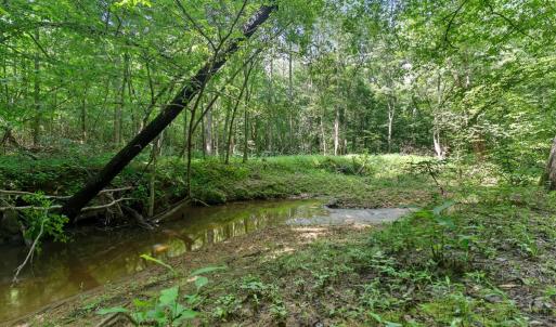 Photo #68 of 1997 Rocks Church Rd., Pamplin, VA 11.0 acres