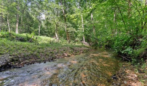 Photo #69 of 1997 Rocks Church Rd., Pamplin, VA 11.0 acres