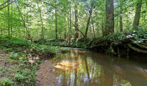 Photo #70 of 1997 Rocks Church Rd., Pamplin, VA 11.0 acres