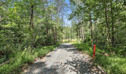 Photo #10 of 42 Mt Elba Rd, Columbia, VA 15.0 acres