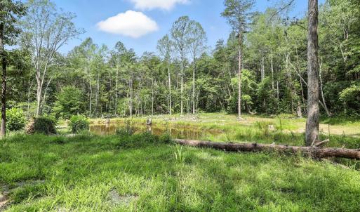 Photo #11 of 42 Mt Elba Rd, Columbia, VA 15.0 acres
