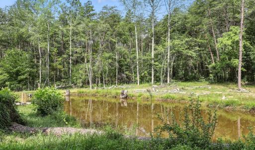 Photo #12 of 42 Mt Elba Rd, Columbia, VA 15.0 acres