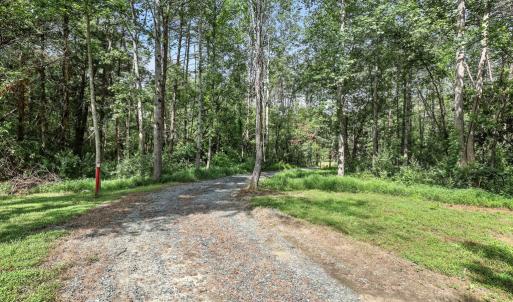 Photo #9 of 42 Mt Elba Rd, Columbia, VA 15.0 acres
