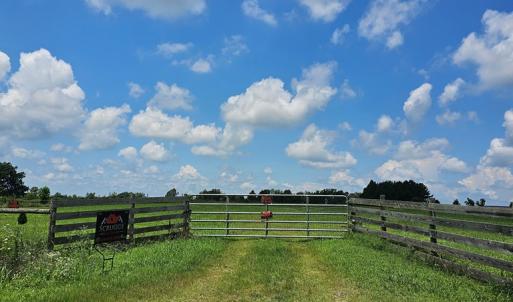 Gate Drivway