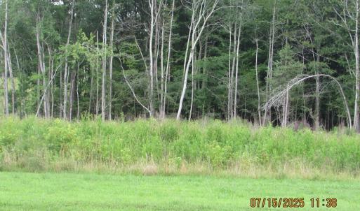 Photo #40 of 191 Oakview Ln, Keysville, VA 5.3 acres