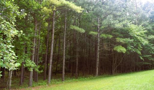 Photo #21 of 81 Hardtimes Dr., Prospect, VA 5.3 acres