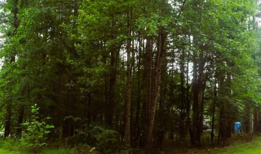 Photo #30 of 81 Hardtimes Dr., Prospect, VA 5.3 acres