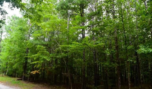 Photo #31 of 81 Hardtimes Dr., Prospect, VA 5.3 acres