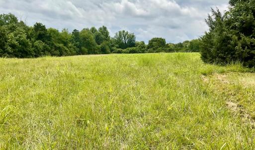 Photo #10 of 118 Oak Hill Forest Rd, Cumberland, VA 18.5 acres