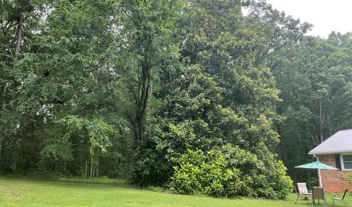 Photo #13 of 118 Oak Hill Forest Rd, Cumberland, VA 18.5 acres