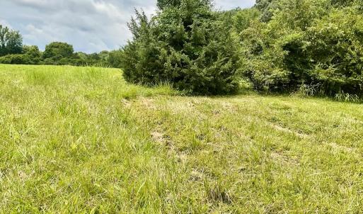 Photo #8 of 118 Oak Hill Forest Rd, Cumberland, VA 18.5 acres