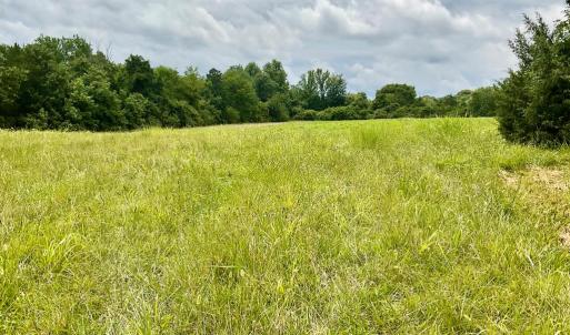 Photo #9 of 118 Oak Hill Forest Rd, Cumberland, VA 18.5 acres