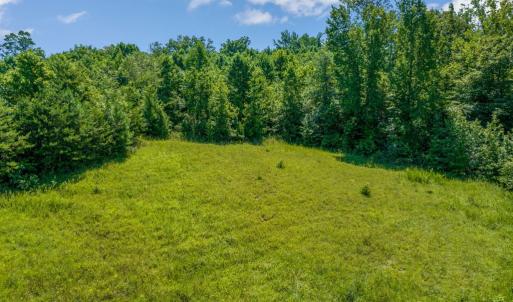 Photo #56 of 2081 Leighwood Trail, Halifax, VA 24.4 acres