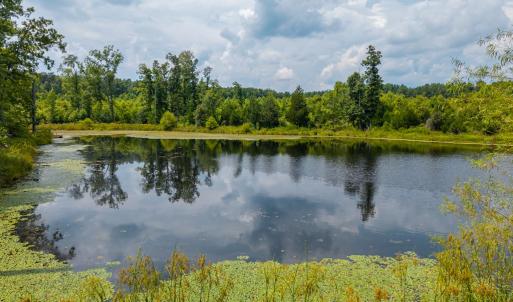 Photo #29 of 405 Washout Road, Keysville, VA 9.5 acres