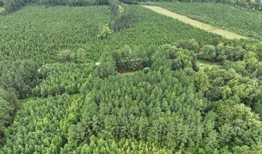 Photo #19 of 3114 Sheltons Road, Drakes Branch, VA 2.6 acres