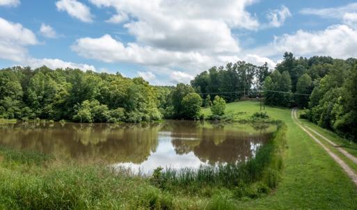 Photo #4 of 196 Fox Hill Road, Rice, VA 242.4 acres