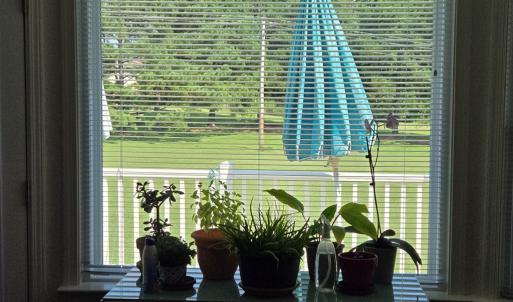 Photo #10 of 11941 Appaloosa Dr, Amelia, VA 2.1 acres