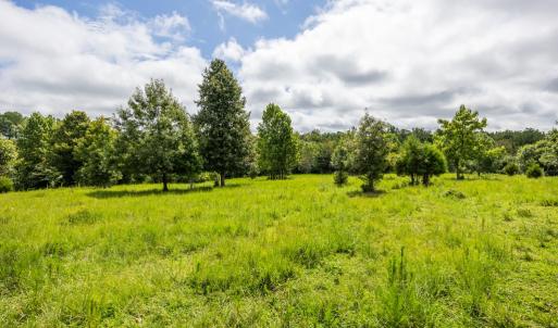 Photo #36 of 2826 Burkeville RD, Victoria, VA 86.3 acres