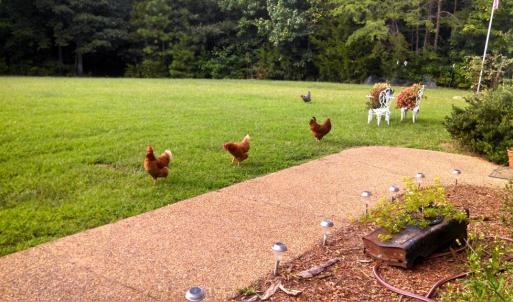 Photo #40 of 2826 Burkeville RD, Victoria, VA 86.3 acres