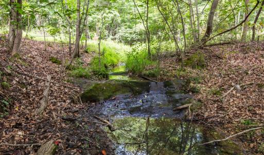 Photo #44 of 2826 Burkeville RD, Victoria, VA 86.3 acres