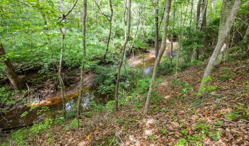 Photo #46 of 2826 Burkeville RD, Victoria, VA 86.3 acres