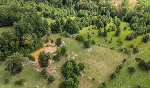 Photo #47 of 2826 Burkeville RD, Victoria, VA 86.3 acres