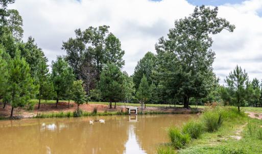 Photo #49 of 2826 Burkeville RD, Victoria, VA 86.3 acres
