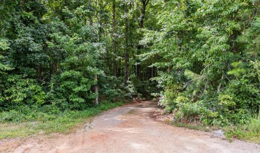 Photo #51 of 2826 Burkeville RD, Victoria, VA 86.3 acres