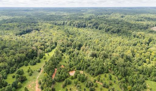 Photo #34 of 2826 Burkeville RD, Victoria, VA 86.3 acres