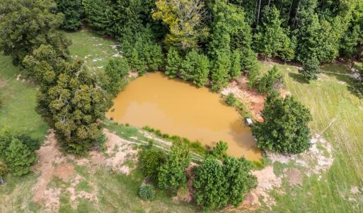 Photo #50 of 2826 Burkeville RD, Victoria, VA 86.3 acres