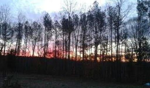 Photo #54 of 2826 Burkeville RD, Victoria, VA 86.3 acres