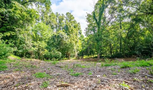 Photo #50 of 830 Buffalo Street, Farmville, VA 0.4 acres