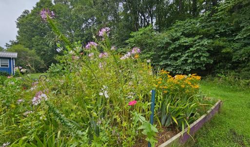 Photo #13 of 266 Legrande Rd, Dillwyn, VA 10.6 acres