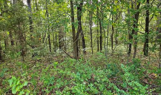 Photo #49 of 266 Legrande Rd, Dillwyn, VA 10.6 acres