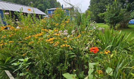 Photo #5 of 266 Legrande Rd, Dillwyn, VA 10.6 acres