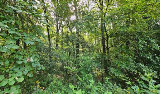 Photo #54 of 266 Legrande Rd, Dillwyn, VA 10.6 acres