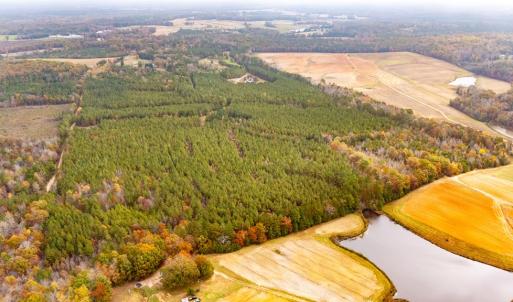 Photo #60 of 574 Old Kings Rd, Drakes Branch, VA 105.3 acres