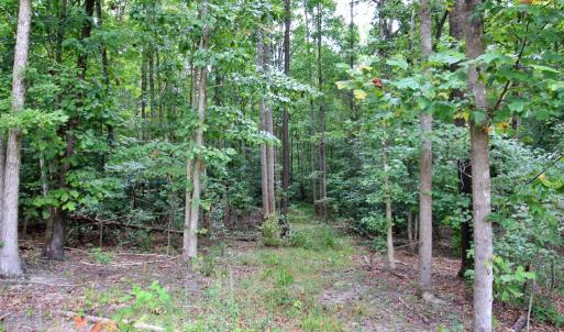 Photo #45 of 370 Campbell Meadows Terrace, New Canton, VA 17.1 acres