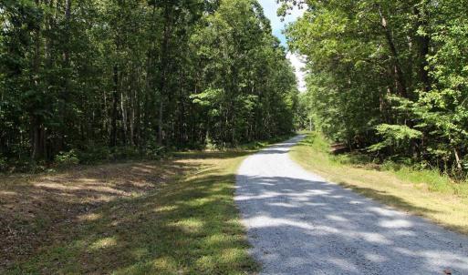 Photo #5 of 370 Campbell Meadows Terrace, New Canton, VA 17.1 acres