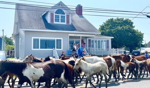 Photo #71 of 3340 MAIN ST, CHINCOTEAGUE, VA 0.2 acres