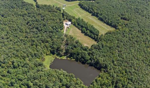 Photo #2 of 1159 Cedar Hill Road, Blackstone, VA 96.1 acres