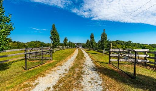 Photo #44 of 293 Sandy River Road, Green Bay, VA 6.3 acres