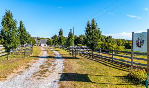 Photo #46 of 293 Sandy River Road, Green Bay, VA 6.3 acres