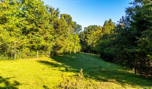 Photo #51 of 293 Sandy River Road, Green Bay, VA 6.3 acres