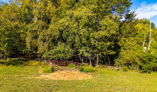 Photo #52 of 293 Sandy River Road, Green Bay, VA 6.3 acres