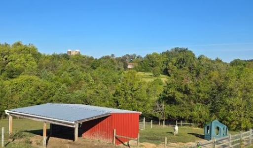 Photo #56 of 293 Sandy River Road, Green Bay, VA 6.3 acres