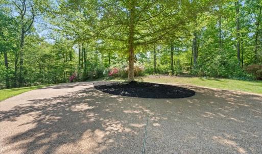 Photo #6 of 3640 Michaux Mill, Powhatan, VA 11.4 acres
